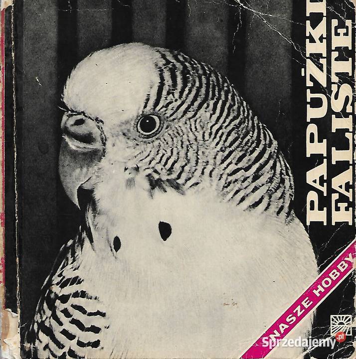 Papużki faliste J Landowski Puławy sprzedam
