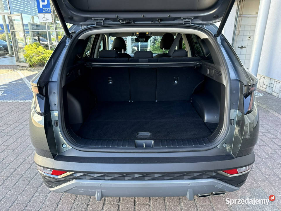 Hyundai Tucson 16 TGDi Hybrid 2WD 230 EXECUTIVE Bydgoszcz