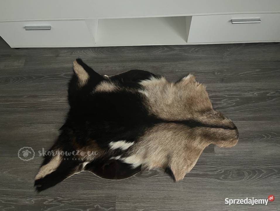 Unikatowa naturalna skóra kozia multicolor Szaflary