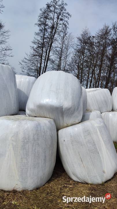 Baloty sianokiszonki Pozostałe