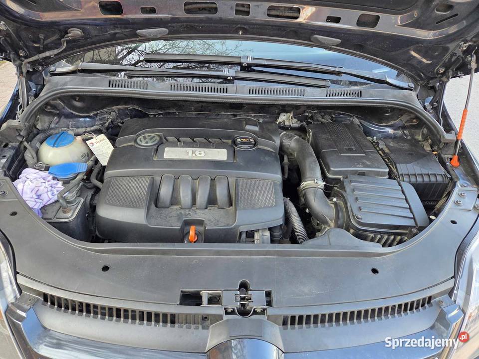 Volkswagen Golf 5 Plus 1600cm3 Mielec