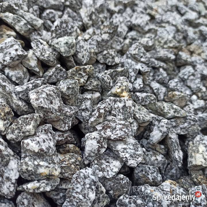 Grys Granitowy Dalmatian szary Kamień ozdobny Jaworzno