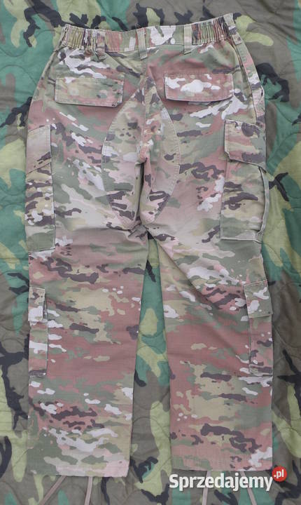 Spodnie ACU multicam OCP 28 short FEMALE 2 Wrocław