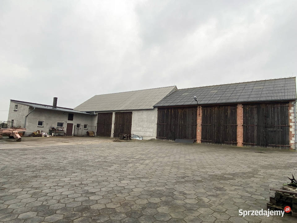 Sprzedam dom i Hale magazynowe na działalnośc 200m2 Nieruchomości Rozdrażew sprzedam