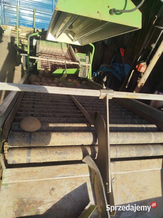 Sortownik do ziemniaków remprodex Sortowniki Janów Lubelski