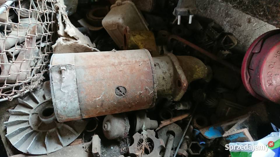 rozrusznik żuka warszawy pomorskie