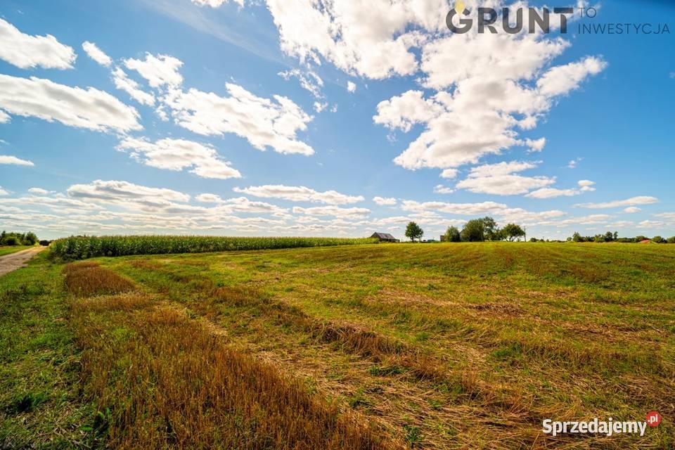 Działki budowlane ostatnia okazja mazowieckie Czachowo sprzedam