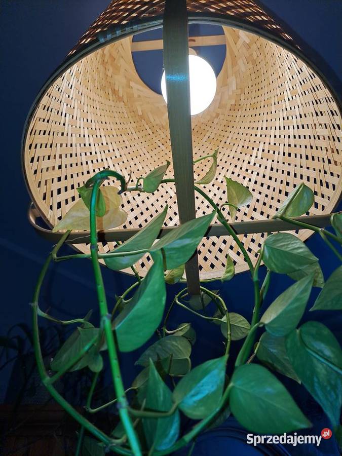 2 Lampy pokojowe wiszace sufitowa klosz Gdynia