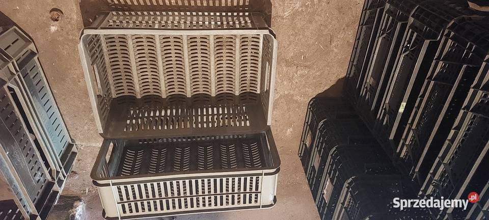 Skrzynki plastikowe 15 Czempiń