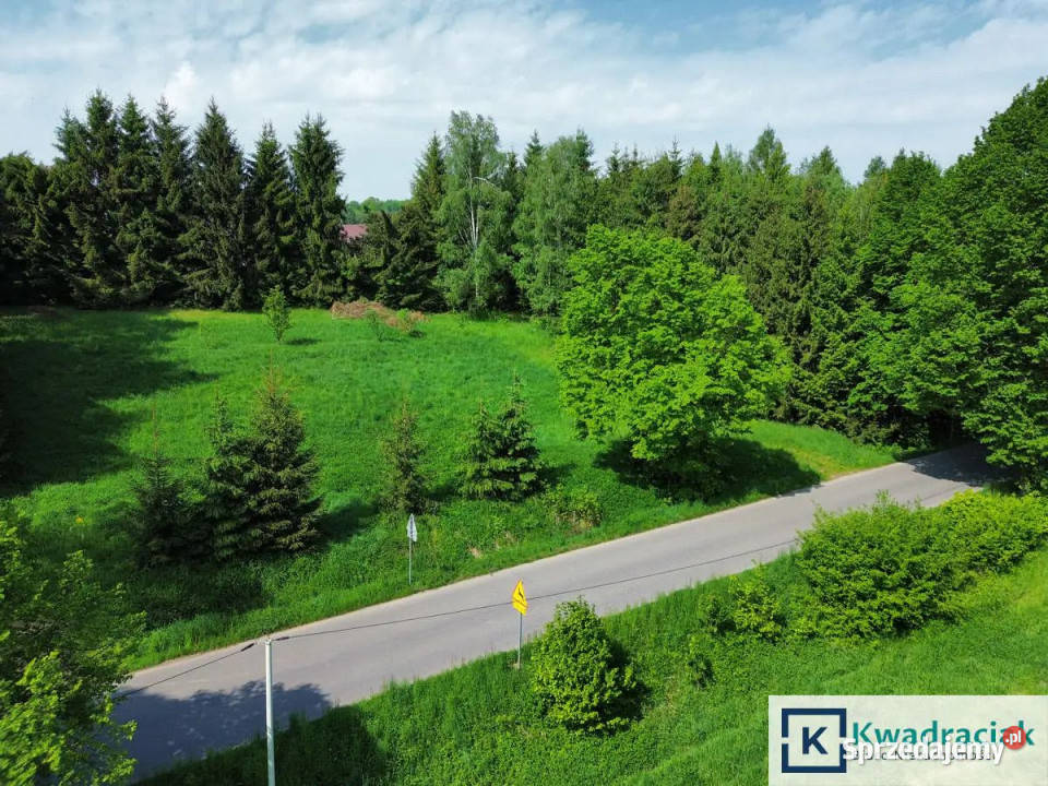 Grunt 4900m2 Zręcin Konopnickiej sprzedam