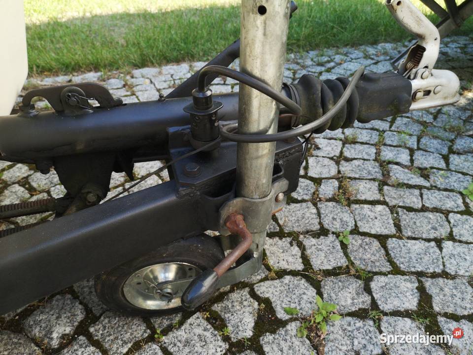 Niewiadów N127 Unikat Niewiadów