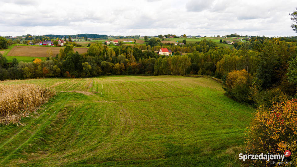 Działka Lichwinie Rolnoleśna OKAZJA małopolskie Lichwin