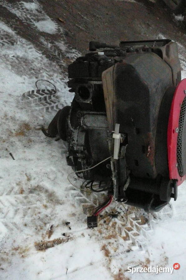 Silnik Briggs Stratton rozrusznik moc 46 Ogród Pabianice