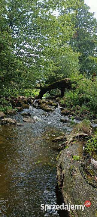 Sprzedam działkę rekreacyjną Sprzedaż Nowe Kęszyce