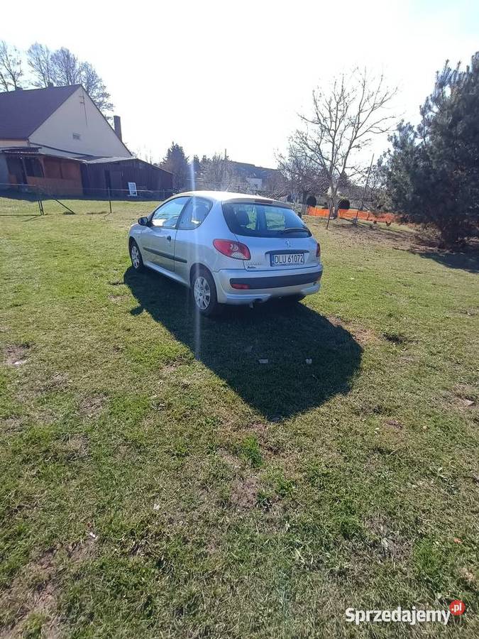 Peugeot 206 plus 11