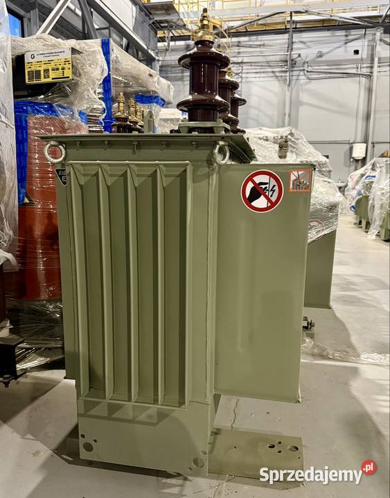 Transformator Schneider Electric 100 kVA 2004 kV Ostrów Wielkopolski