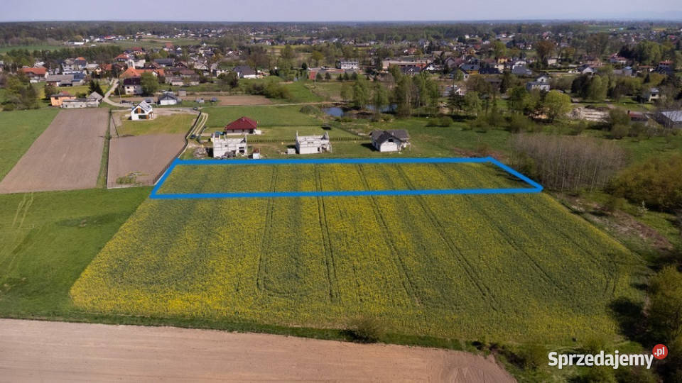 Działka Budowlana Czarków kPszczyna Sprzedaż