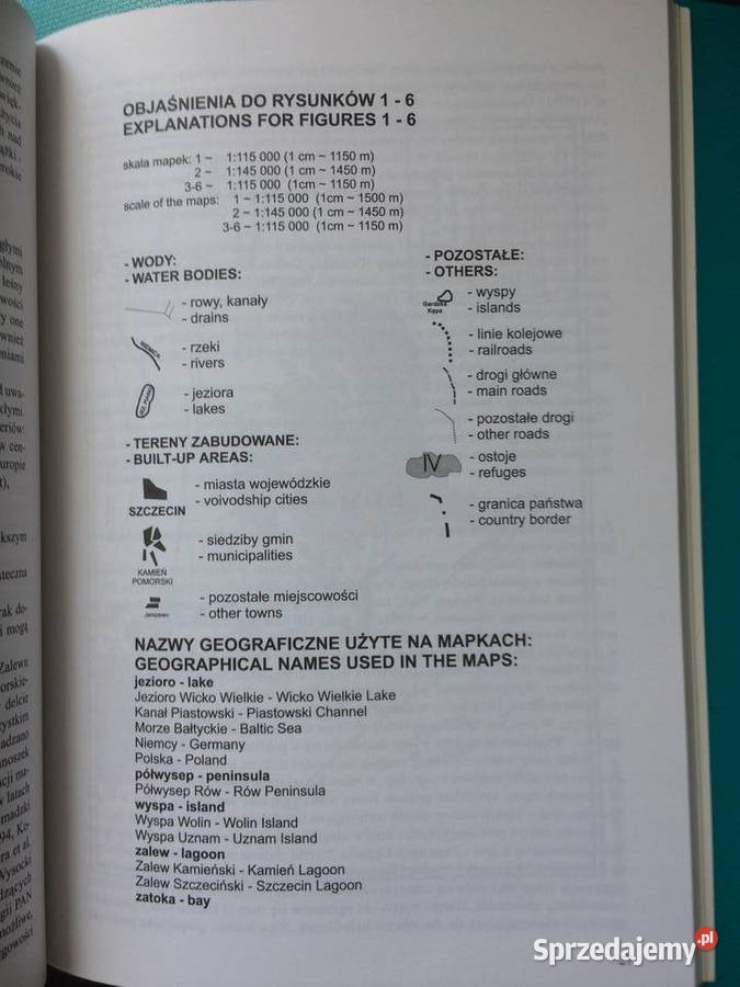 3431 Ostoje Ptaków W Pol Części Zalewu Antyki, Sztuka, Kolekcje Szczecin