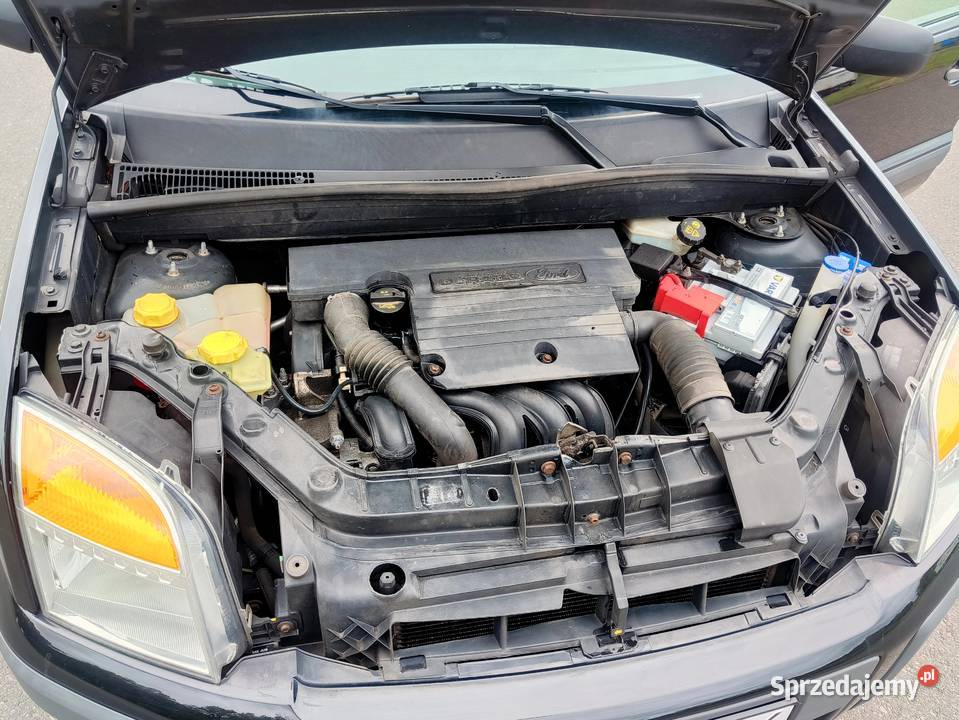 Ford Fusion 14 2008 zar w zadbany 1388cm3 Gryfino