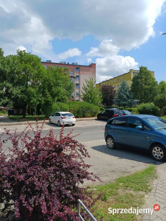 sprzedam mieszkanie Wronki Borek