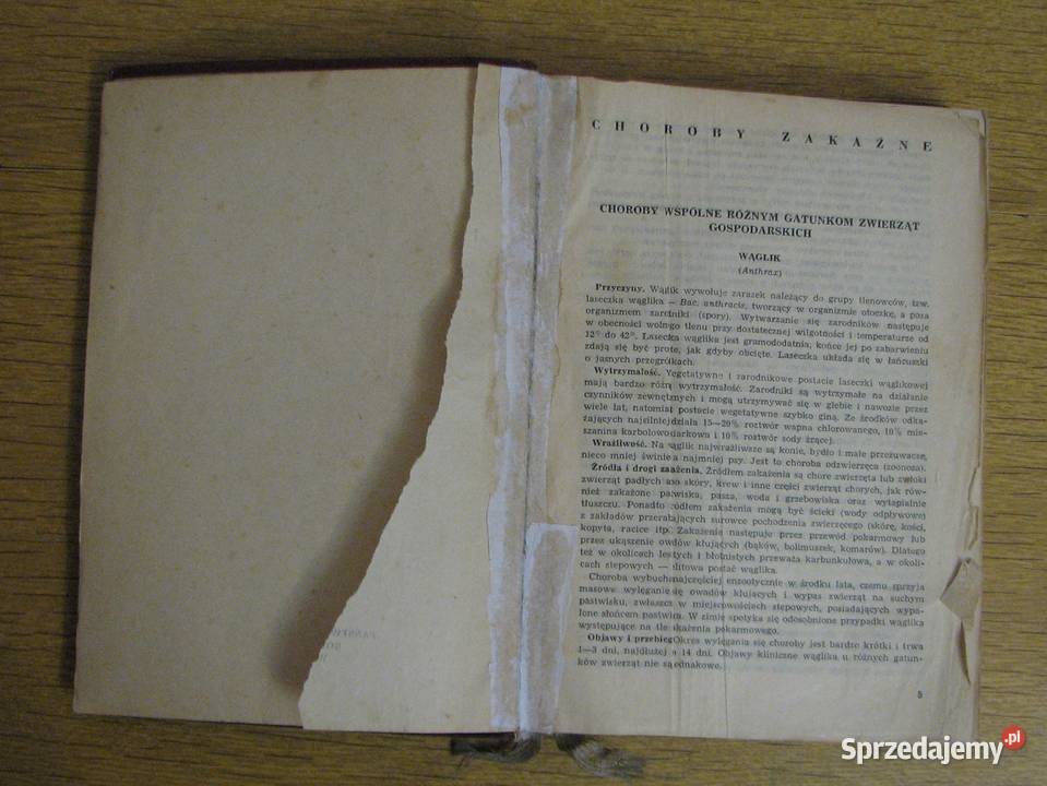 Przewodnik lekarskoweterynaryjny tom I 1956 Parczew