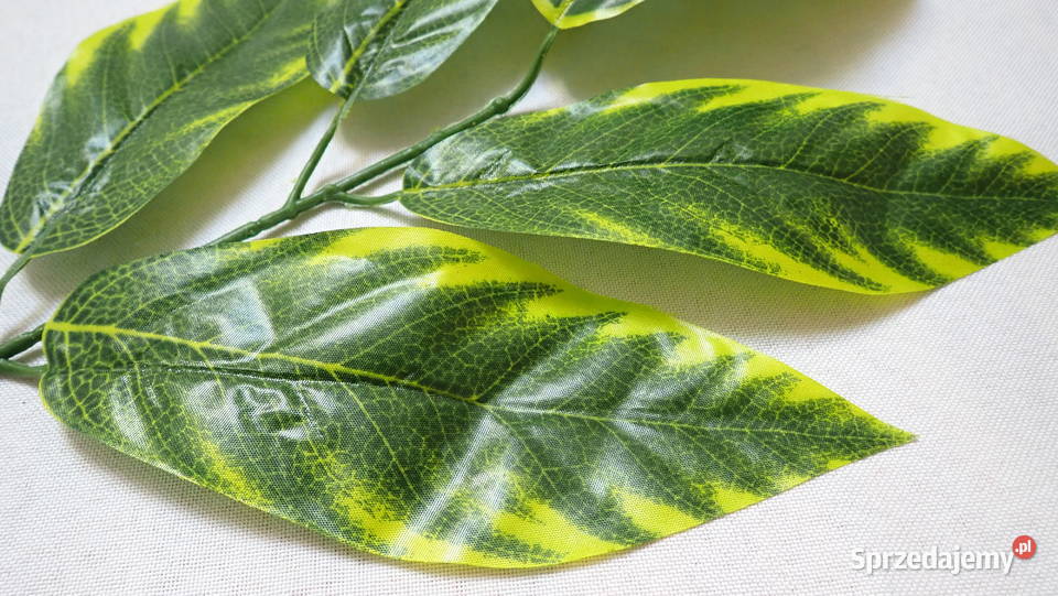 Liście ozdobne 5 na gałązce Zx1 Siewierz