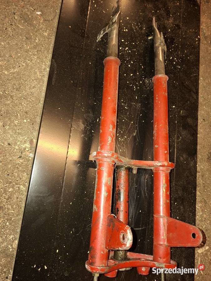 Ogar 200205 Oborniki Śląskie