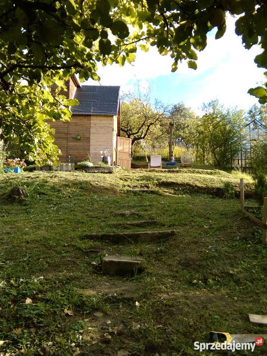 Działka ROD ORANIĄ Gdańsk