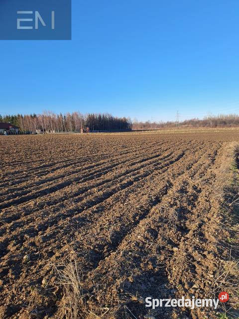 Grunt Dębowiec 3200m2 sprzedam
