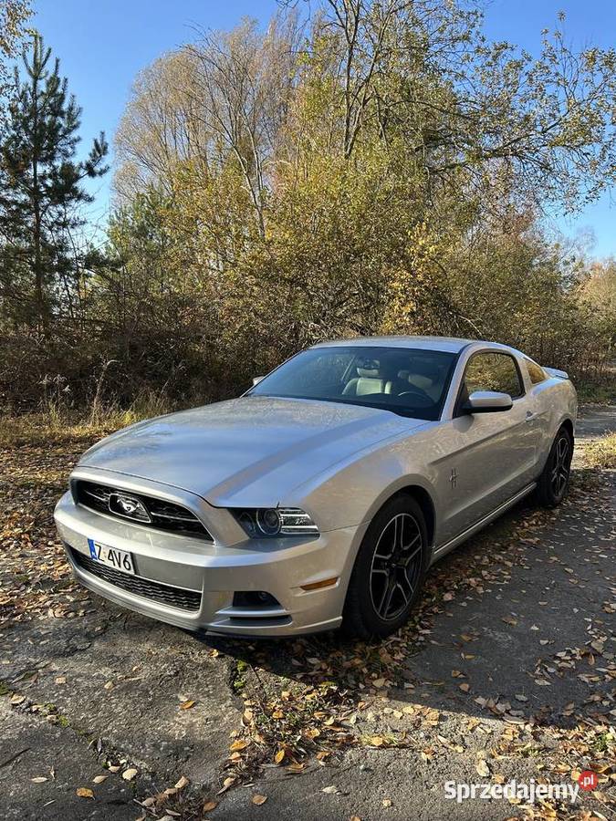 Ford mustang AKTYWNY WYDECH Chojna