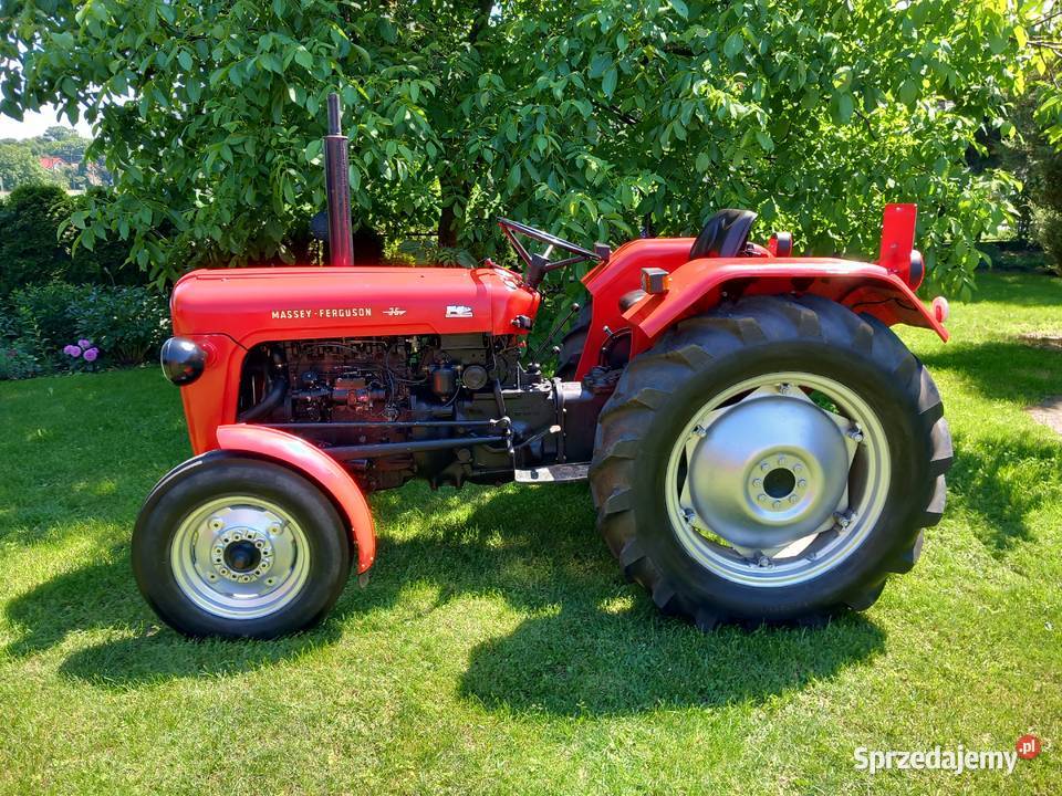 Massey Ferguson 35 Ostrów Wielkopolski sprzedam
