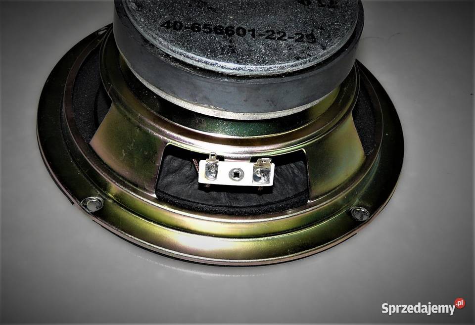 Głośnik basowy subwoofer Ocean Sound 50 Wat 6Ohm Bogatynia