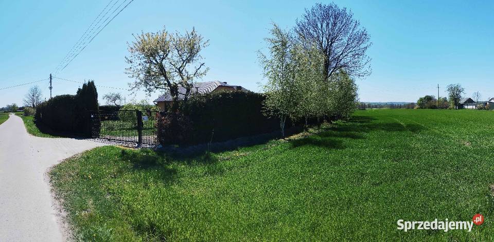Siedlisko 225 ha dom 150m ROZTOCZE ZACHODNIE parterowy Czernięcin Poduchowny