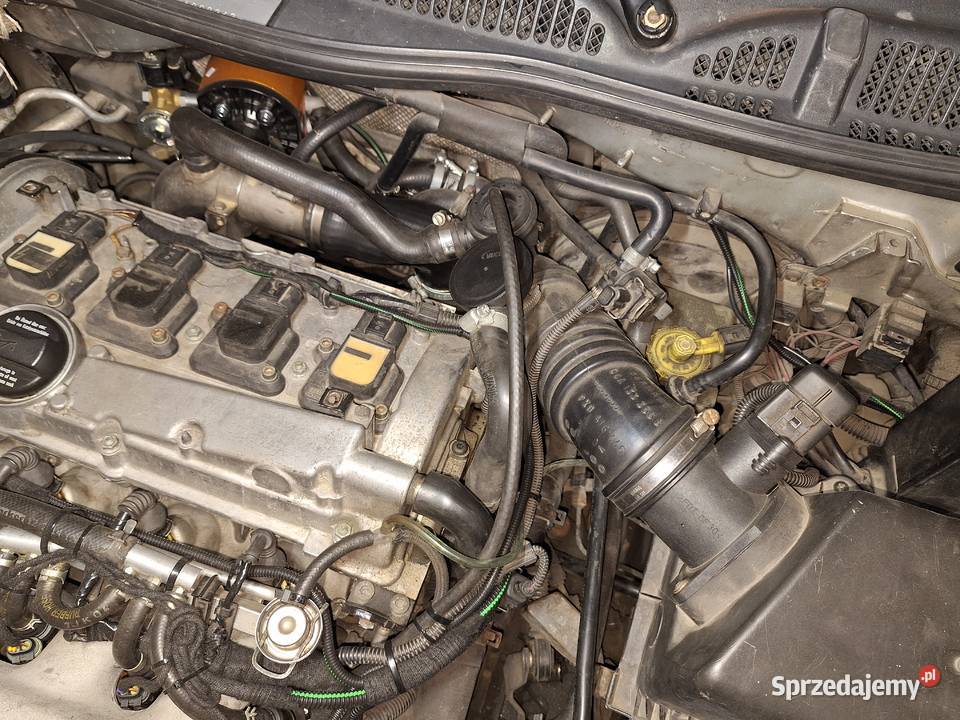 Audi A3 8l fake S318t AJQ 200 LPG oska 19 klima Grójec