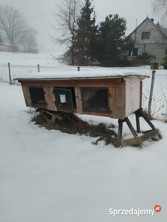 Klatka królików Frank sprzedam