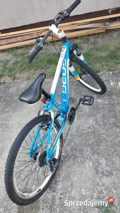 Rower Focus Rookie Raven MTB 24Revoshift ładny Chocianów sprzedam