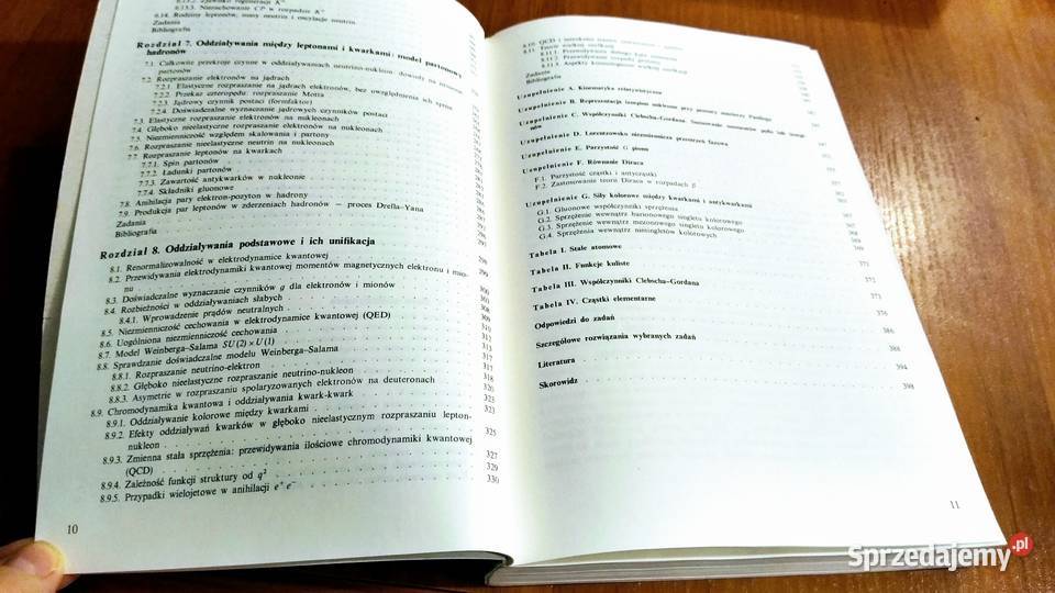 Wstęp do fizyki wysokich energii D H Perkins Gdańsk