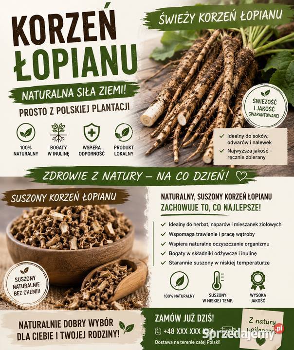 Łopian korzeń łopianu Pszczyna