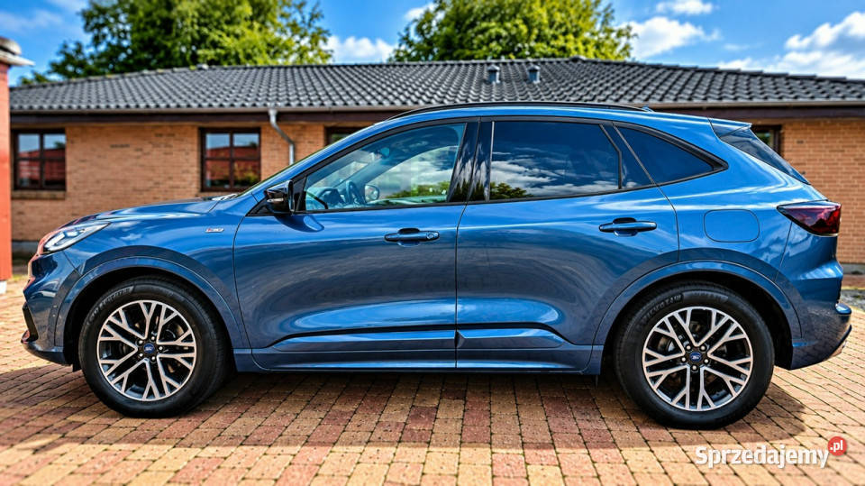 Ford Kuga III 2019 Sadlno