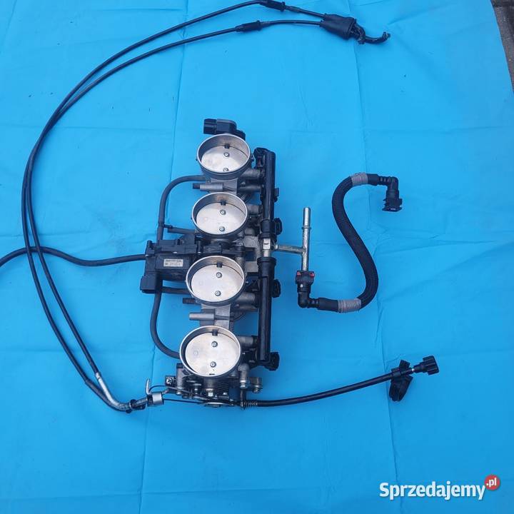Zingiss Super Zings 4 Seria Zestaw 10 Figurek 1 Złota (8431618009482