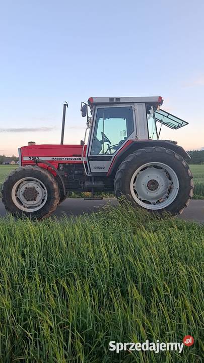 Massey Ferguson 3080 kujawsko-pomorskie