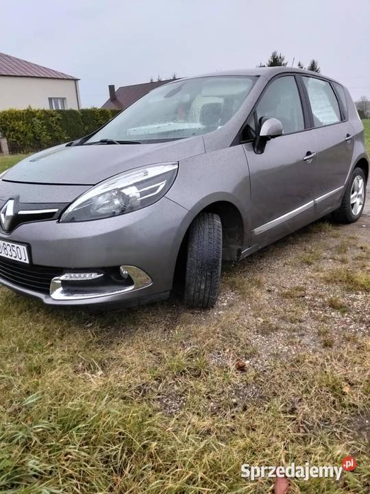 Renault Scenic 2013 15 Diesel wielkopolskie Dobra