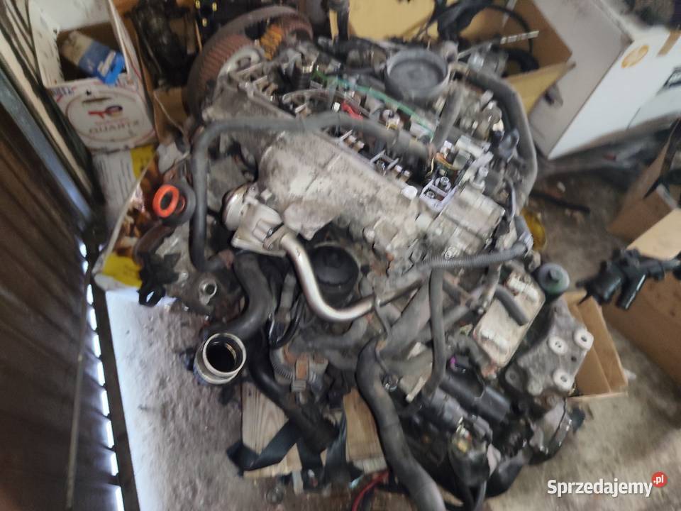 Volkswagen Touran silnik 20 tdi zachodniopomorskie Gryfino