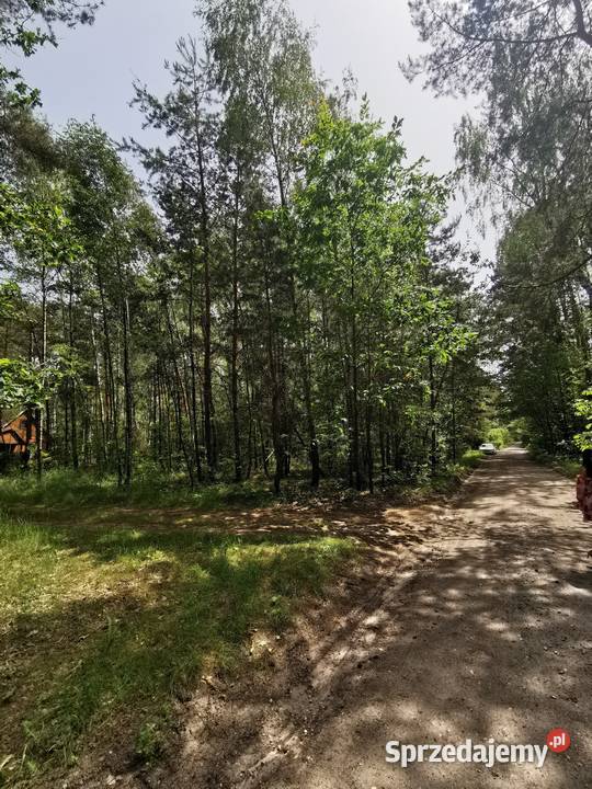 Działka budowlana Łodzi w sercu lasu 141zł/m2