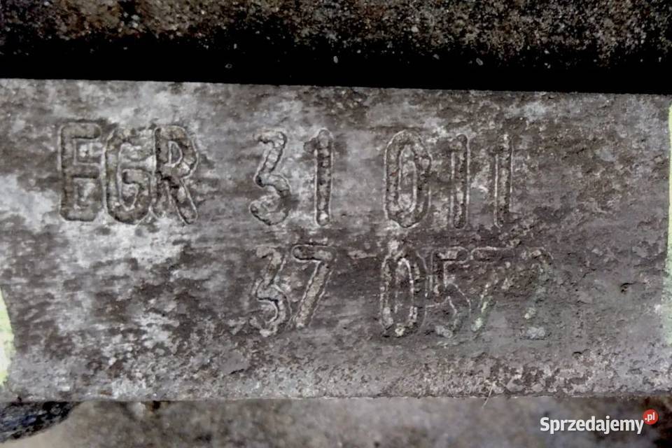 BEZPIECZNY ZAKUP SZYBKA DOSTAWA 55H Włoszczowa