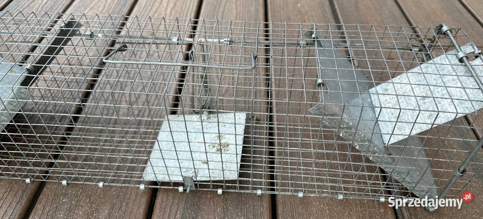 Klatka do odłowu pułapka żywołapka wielkopolskie Szamotuły