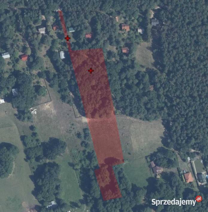 Wyjątkowa działka 8900 m z własnym lasem Bugiem 8900m2 Bojany
