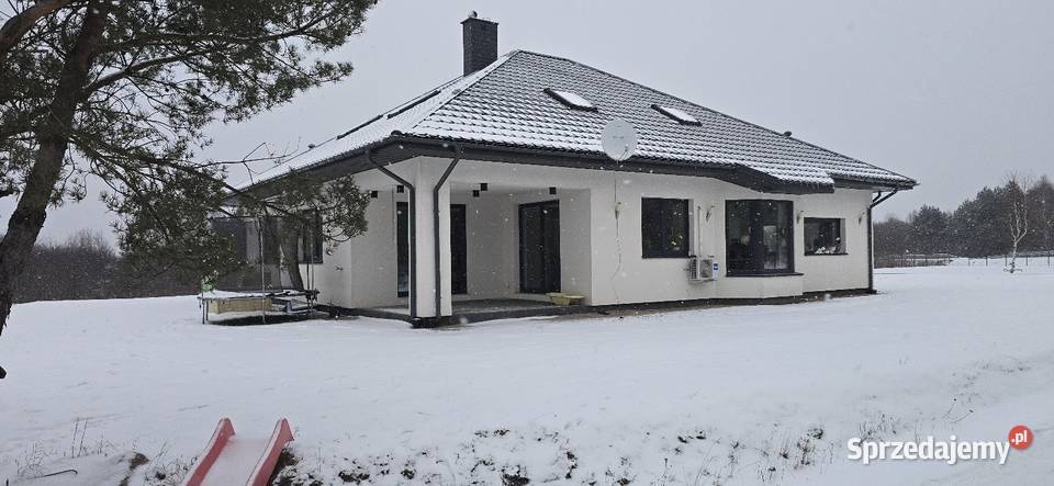 Sprzedam dom 243m2 użytkowego garaż 99m2 działka Sędów