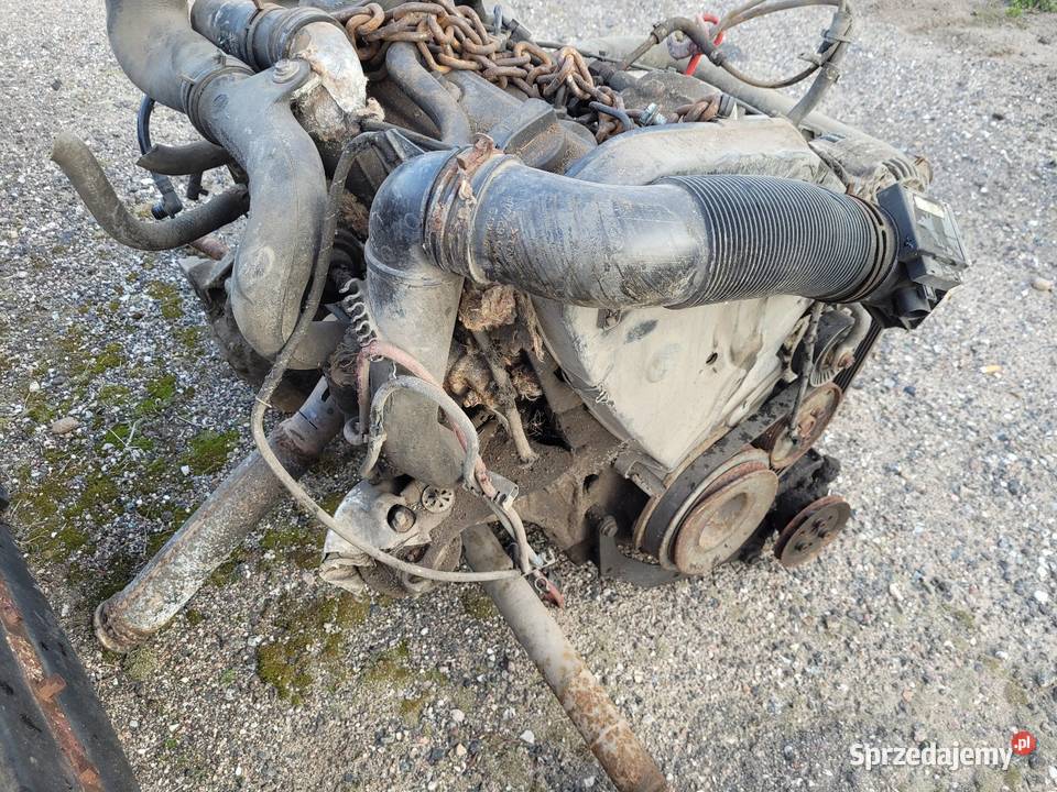 Golf Passat seat vento 19 tdi swap samuraj Cołdanki