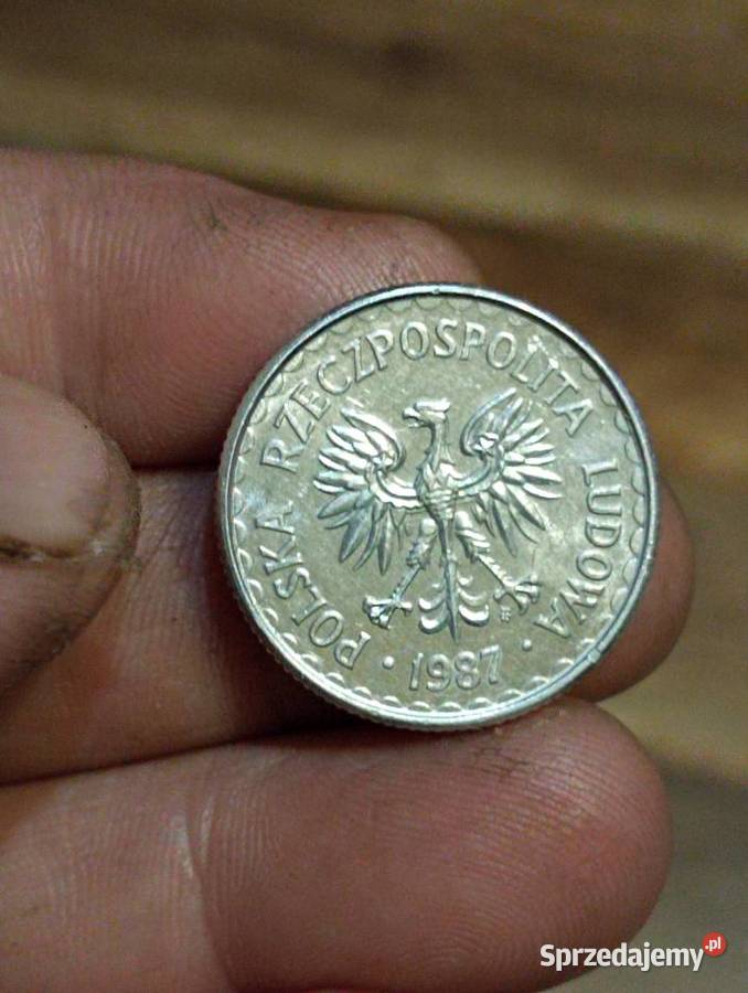 sprzedam 1 zloty 1987 lubelskie Chełm